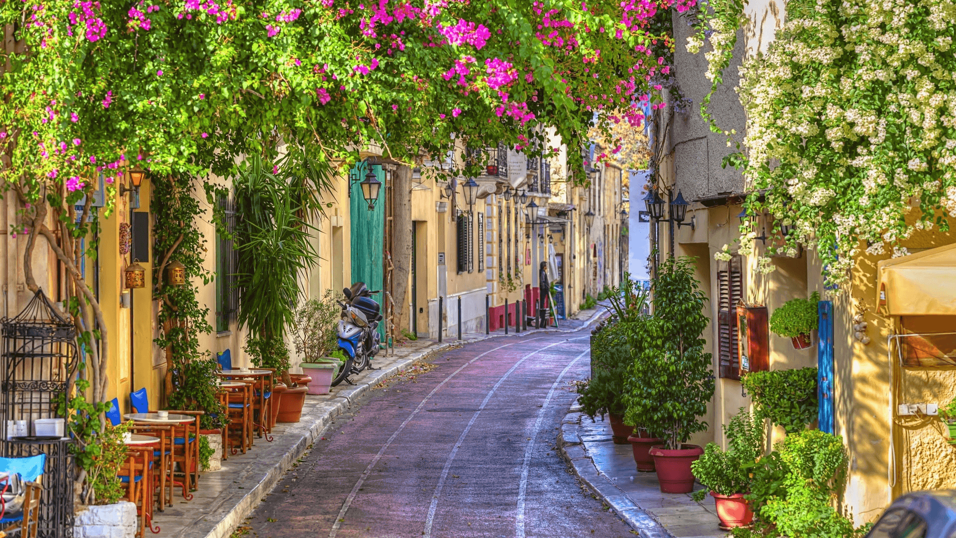 Athens Walking City Tour